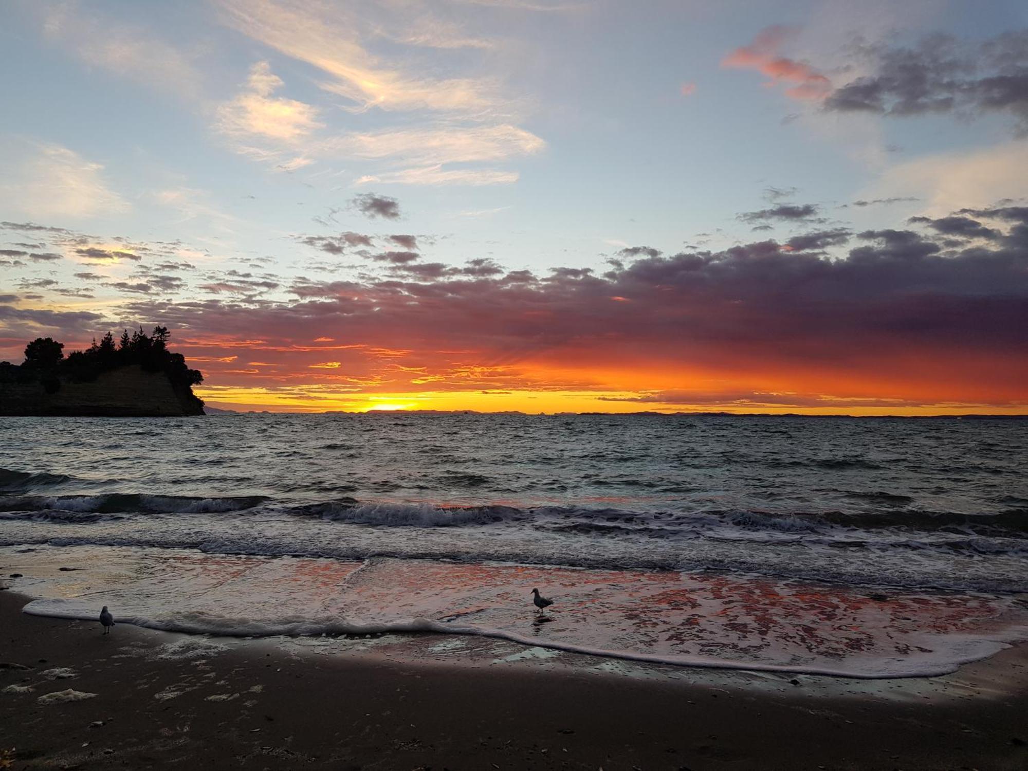 Whangaparaoa Lodge Екстер'єр фото