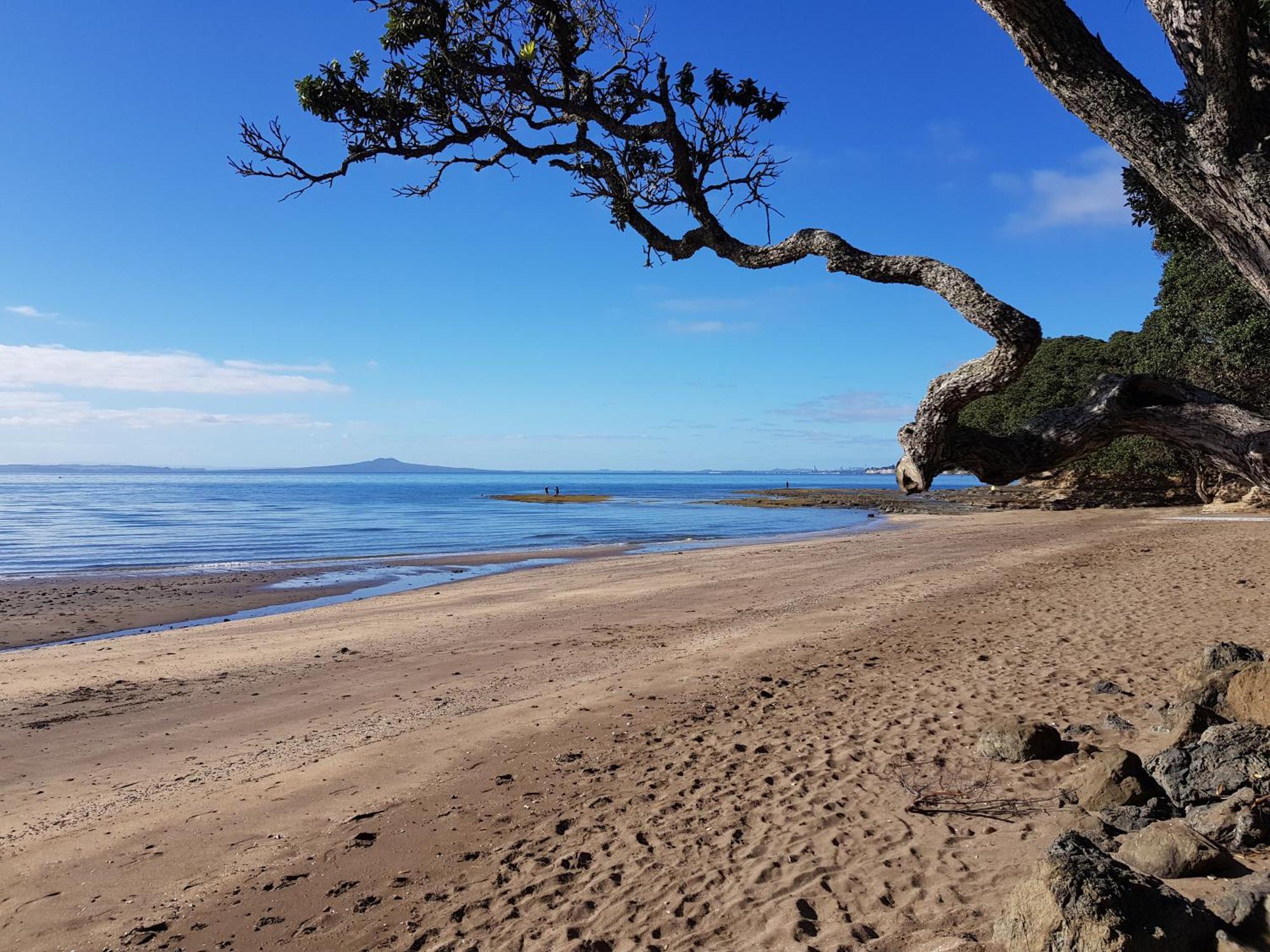 Whangaparaoa Lodge Екстер'єр фото